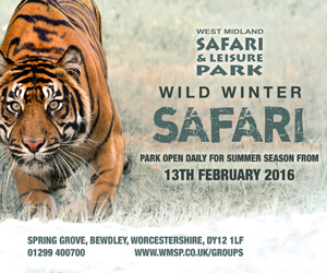 West Midland Safari Park Wild Winter